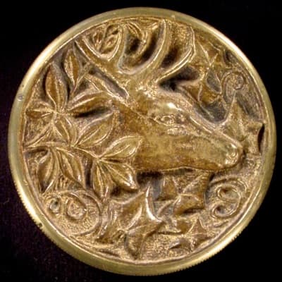 Deer in Foliage 