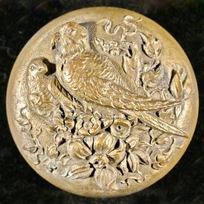 Parrots