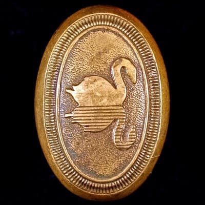 Swans