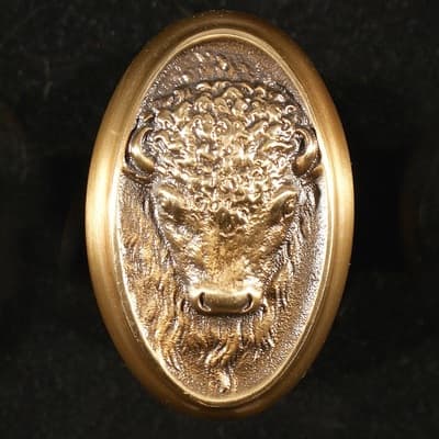 Bison