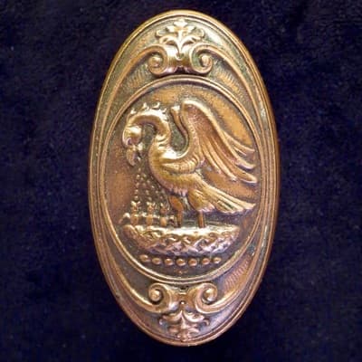 Pelican