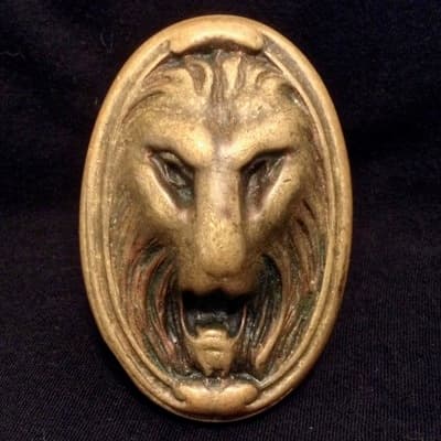 Oval Lion