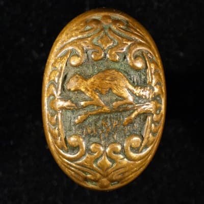 Beaver