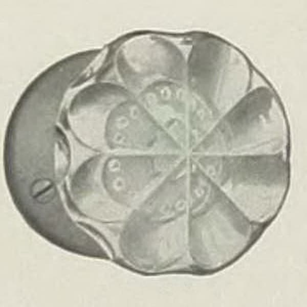 R-24700
Penn1915 187